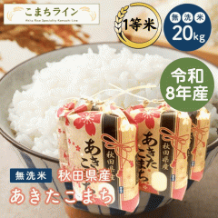 �V�āI�y������20�����z�ߘa8�N�Y�@�H�c���Y�@���������܂�20���� 5�����~4�܁@�ꓙ�ā@���I���ꂽ�����������ā@���蕨�@����E�����ʓr
