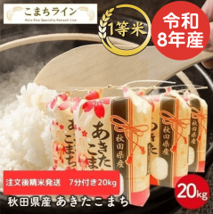 �V�āI�y�����t��20�����z�ߘa8�N�Y�@�H�c���Y�@���������܂�20���� 5�����~4�܁@�ꓙ�ā@���I���ꂽ������������ �����@����E������