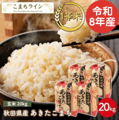 �V�āI�y����20�����z�ߘa8�N�Y�@�H�c���Y�@���������܂�20���� 5�����~4�܁@ �ꓙ�ā@���I���ꂽ������������  ���ā@����E�����ʓr��