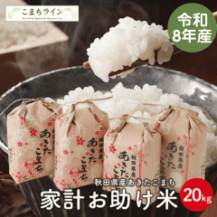 �V�āI�y��������20�����z�ߘa8�N�Y�@���������܂� �ƌv�������ā@�_�ƒ����ց@20�����i5�����~4�܁j ����E�����ʓr����