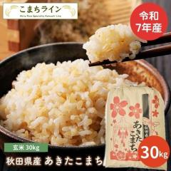 �y����30kg�z�ߘa7�N�Y�@�H�c���Y�@���������܂�30�����@�ꓙ�ā@���I���ꂽ������������ �Ăт��ԁy�V�铂�h�q�z�v���[���g�t�� ����