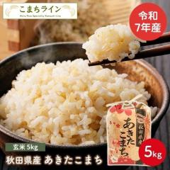 �y����5�����z�ߘa7�N�Y�@�H�c���Y�@���������܂��@5�����@�ꓙ�ā@�Ăт��ԁy�V�铂�h�q�z�v���[���g�t���@���ā@���蕨�@����E����