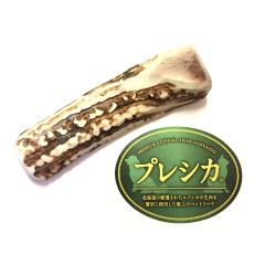 ������ ���`��^���p 12cm L�T�C�Y ���̊p ������ 1�{�Z�b�g �� �������� ���� �� ���� �� ����� ���̊p ���p �V�J�̊p �W�r�G 