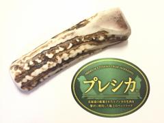 ������ ��^���p 12cm LL�T�C�Y ���̊p ������ 1�{�Z�b�g �� �������� ���� �� ���� �� ����� ���̊p ���p �V�J�̊p �W�r�G 