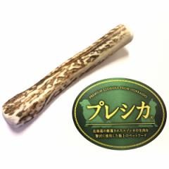 ������ ���^���p 12cm S�T�C�Y ���̊p ������ 1�{�Z�b�g �� �������� ���� �� ���� �� ����� ���̊p ���p �V�J�̊p �W�r�G 