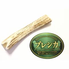 ������ ���`���^���p 12cm M�T�C�Y ���̊p ������ 1�{�Z�b�g �� �������� ���� �� ���� �� ����� ���̊p ���p �V�J�̊p �W�r�G 