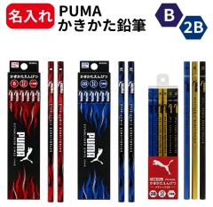 ���M ������ PUMA�i�v�[�}�j���M ����҂� 12�{���� �������� B 2B PM551 PM552 PM448 ���w�� ���w�j �����j �����L�O�i ���O����