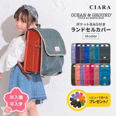 �I�[�V�����A���h�O���E���h OCEAN&GROUND �����h�Z���J�o�[ ���̎q �j�̎q ������� ���� ���w�Z ���w�� ��w�N ���w�N �L�b�Y �q�� �q