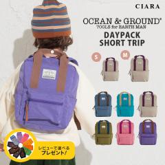 �I�[�V�����A���h�O���E���h OCEAN&GROUND �����b�N ������� �y�� ��e�� �����b�N�T�b�N �L�b�Y �q�� ���킢�� ���̎q �j�̎q ���w�Z 