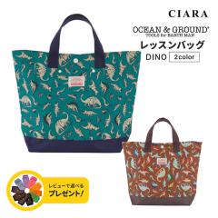 ���b�X���o�b�O ���̎q �j�̎q �ʉ��o�b�O �ۈ牀 �c�t�� ���w�� ��w�N ���w�N �g�[�g�o�b�O �L�b�Y �q�� NEBULA OCEAN&GROUND DINO �I