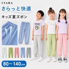 �p���c �V�� �L�b�Y �Y�{�� �q�� �j�̎q ���̎q ���� ������ ���C�h�p���c �X�g���b�` ���u ���n ���[���E�F�A �p�W���} ������ ���悯 8
