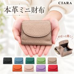 ���z ���f�B�[�X �R���p�N�g���z ��܂���z �����ߍ��z ���f�B�[�X���z ��܂� �{�v ���v �~�j���z �R���p�N�g ������ ���� box�^ 