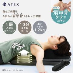 yzbXgb`MA AX-HX264 b͂ GA Lw  _  񂱂 y v[g Mtg NX}X pI 