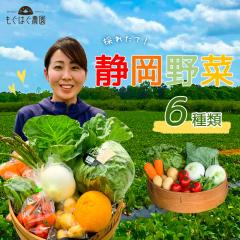 �̂ꂽ�āI�É���؃Z�b�g A 6�i�� �̂ꂽ�� ��� �{ �Z�b�g ���Y �É����Y �l�ߍ��킹 ���BOX �{��� �Y�n���� �d���� �M�t�g �N�[����