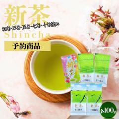  �V�� 2026 �y�\�񏤕i�z �V��5��Z�b�g ���� �O�� �ܓ� ���� �\���E�� ���t �e100g �[�������� �݂����ܔ_�������� ���� �Β� ��Ԓ� ��