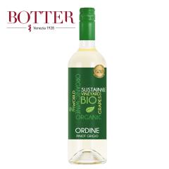 ���R�h ���R�h���C�� �I���f�B�l �s�m��O���[�W�� �I�[�K�j�b�N �C�^���A �h�� �����C�� �C�^���A���C�� �� �h��