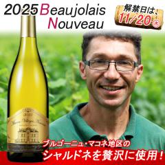 ���܂��t�y���֓�11/20(��)�z�{�W�����[ �k�[�{�[ 2025 �{�[�W�����[�E���B���[�W���E�k�[���H�[ �}�R���E���B���[�W���E�k�[���H�[ �h��