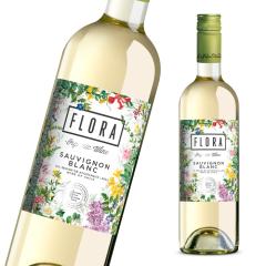 ���C�� �����C�� �I�[�K�j�b�N���C�� �t���[�� �\�[���B�j�����u���� �h�� �`�����C�� �� �`�� �I�[�K�j�b�N LFE