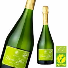 ���h���A �L�����F�E�u�����b�g �X�y�C���Y �h�� �A  �X�y�C�����C�� �X�p�[�N�����O���C�� �X�p�[�N�����O �h�� bio �I�[�K�j�b�N �L�@