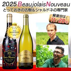 ���܂��t�y���֓�11/20(��)�z�{�W�����[ �k�[�{�[ 2025 �G���b�N�p���h�� ���B�G�C���E���B�[�j�� �����B���[�W���E�k�[���H�[ �}�R�� �h