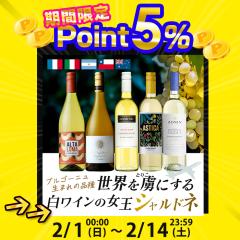 �����C���̏��� ���E�̃V�����h�l ���ݔ�� �����C�� 5�{�Z�b�g �������� �ꕔ���O �h�� ���C���Z�b�g �t�����X �C�^���A �`�� �I�[�X�g