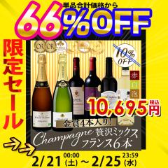 �y ���v2���~�ȏ㕪�̃V�����p������ �z�����V�����p����2�{�������I����Ɋi��{���h�[���y���߂� �t�����X���\ �Ԕ��A 6�{�Z�b�g ���C