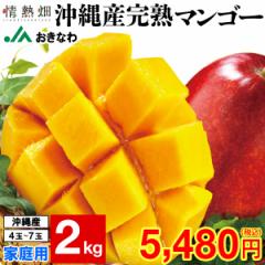 }S[  ƒp JAȂ 󂠂 n}S[ 2kg (4`7)  󂠂}S[ mango n {̉ʕ t[c ʕ Yn