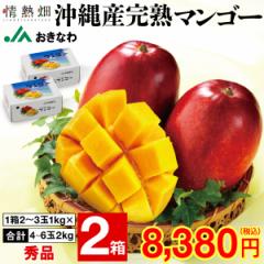 }S[  Gi Mtg 2kg i12`31kg~2j JAȂ n}S[ Abv}S[  mango n t[c ʕ 