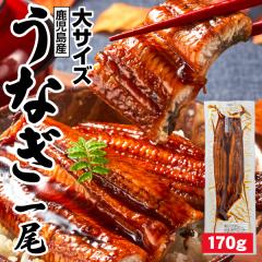 ���̓� ���Ȃ� ���Y �M�t�g ���Ȃ����� 170g 1�� ������ ����Y �V ���� �������� �a���� �v���[���g ���蕨 ���Ȃ��̃^�� �Ⓚ �E�i�M u
