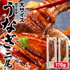 ���̓� ���Ȃ� ���Y �M�t�g ���Ȃ����� 170g 2�� ������ ����Y �V ���� �������� �a���� �v���[���g ���蕨 ���Ȃ��̃^�� �Ⓚ �E�i�M u