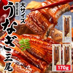 ���̓� ���Ȃ� ���Y �M�t�g ���Ȃ����� 170g 3�� ������ ����Y �V ���� �������� �a���� �v���[���g ���蕨 ���Ȃ��̃^�� �Ⓚ �E�i�M u