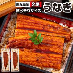 ���̓� ���Ȃ� ���Y �M�t�g ���Ȃ����� 120g 2�� ������ ����Y �V ���� �v���[���g �������� �a���� ���蕨 ���Ȃ��̃^�� �Ⓚ �E�i�M u