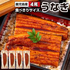 ���̓� ���Ȃ� ���Y �M�t�g ���Ȃ����� 120g 4�� ������ ����Y �V ���� �v���[���g �������� �a���� ���蕨 ���Ȃ��̃^�� �Ⓚ �E�i�M u