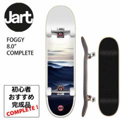 JART W[g FOGGY 8.0 COMPLETE tHM[Rv[g XP{[ XP[g{[h i lC Xm[{[hItg