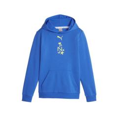 PUMA �v�[�} NJR INS. �t�[�f�B�[�g�b�v JR 658748 01 �u���[ �T�b�J�[ �T�b�J�[�E�F�A