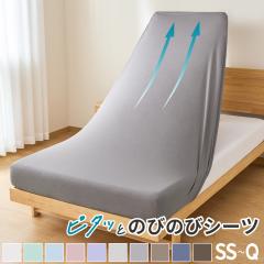 �{�b�N�X�V�[�c �V���O�� �_�u�� �N�C�[�� �Z�~�V���O�� �}�b�g���X�J�o�[ ���C�h �̂т� �L�т� �{�b�N�X�V�[�c �V���O�� �̂т̂у{�b