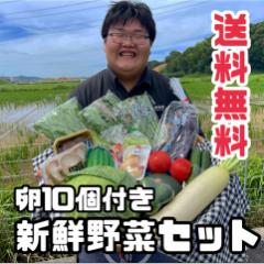 新鮮 野菜セット 野菜 15種類   クール便 送料無料 ※一部地域を除く たまご10個入りのおまけ付き(6月発送の方限定で野上