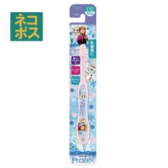 �X�P�[�^�[ ���A�i�Ɛ�̏��������R�`�T�� �����p���u���V���q���p�n�u���V �]�ʃ^�C�v //�L�b�Y ���p�i ���u���V �T�j�^���[ �q�� ����