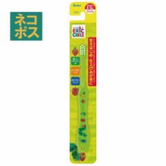 �X�P�[�^�[ ���͂�؂������ނ������O�`�R�� �����p���u���V���q���p�n�u���V �]�ʃ^�C�v //�L�b�Y ���p�i ���u���V �T�j�^���[ �q�� ��