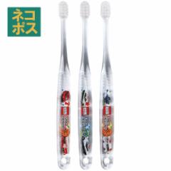 ���u���V �q�� �Z�b�g ���ǂ� 3�{ ���炩�� �n�u���V ���� �����₷�� skater �X�P�[�^�[ TBCR4T 23�N �g�~�J tomica �� ����� �j�̎q