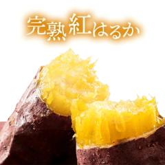 ���Y �g�͂邩 �Ⓚ �� �Ă��� 1kg ��� ��₵ �₫���� �˂��Ƃ� ���Y�� ��錧�Y �Ⓚ�Ă��� ���� �Ⓚ�Ă����� �Ă����� �� �X�C