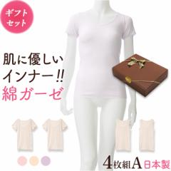 �M�t�g �v���[���g �ȃK�[�[�C���i�[ ���{�� 4���Z�b�gA Y4A-RT 3����2�� �^���N�g�b�v2�� ���f�B�[�X �N�� ���� �� �ԈȊO ��̓� �a��