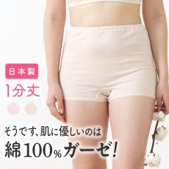 { ȃK[[ 1 {NT[ V[c [Xt fB[X N X[s}  100% Ci[ {bNX V[c pc peB[