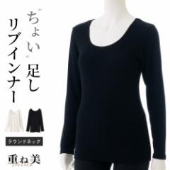 d˔  傢 uCi[   EhlbN DڂȂ    Xgb`   wl    H~ 24AW ItzCg/