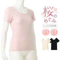 H ێCi[ Ƃ芴 ێ Xgb` RۖhL ₷  3 Ci[ t fB[X  ɗD  wl  