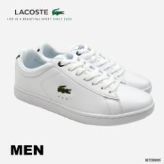 Xj[J[ Y RXe CARNABY EVO BL 21 LACOSTE yKiz