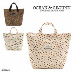 bXobO I[VAhOEh bXBAG Ip[h n[g ԕ q ct w ʉ ʊw OCEAN&GROUND LEOPARD C