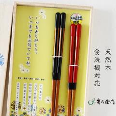 �ዷ�h �v�w�� ���茾�ԕv�w�Z�b�g�i�H��풤�l��Ver.�j  X-723  �����q�� �y�A �y�A�� �h�蔢  �H��@�Ή�  �h�V�̓� ��̓� ���̓� �v