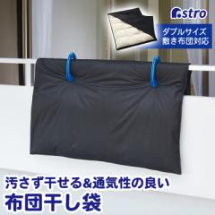 zc VOTCYp zcJo[ h zcV[g sDz h~ ԕ≩ AXg 173-09