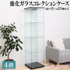 �R���N�V�����P�[�X 4�i ����~�߃V�[�g�t �t�B�M���A�P�[�X ����162cm �����K���X �S�ʃK���X �R���N�V���� �f�B�X�v���C �K���X�I ��^